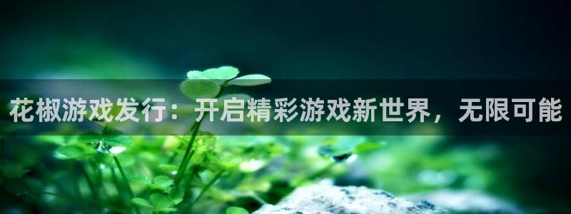新航娱乐app的最新版本更新内容在哪里