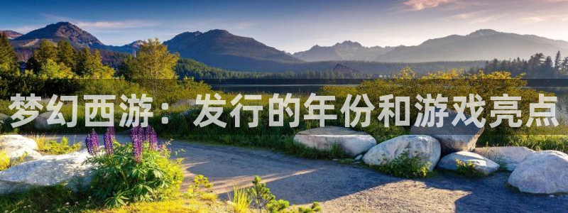 新航娱乐的创始人背景
