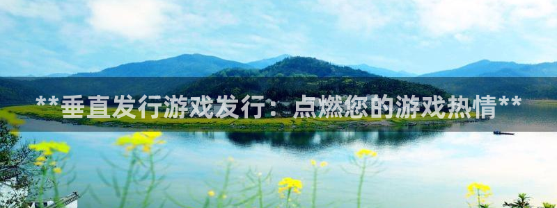 新航娱乐雀7IIII2联他是：**垂直发行游戏发行：点燃您的游戏热情**