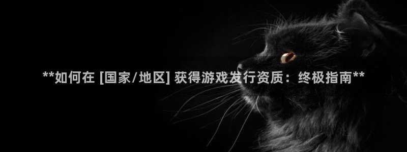 新航娱乐公司扣费流程详解表图片：**如何在 [国家/地区] 获得游戏发行资质：终极指南**