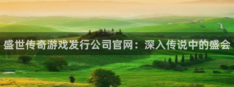新航娱乐公司旗下艺人有哪些