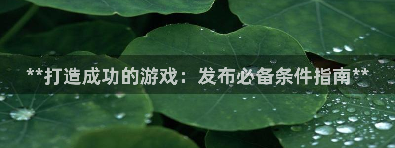 新航娱乐公司旗下艺人有哪些：**打造成功的游戏：发布必备条件指南**