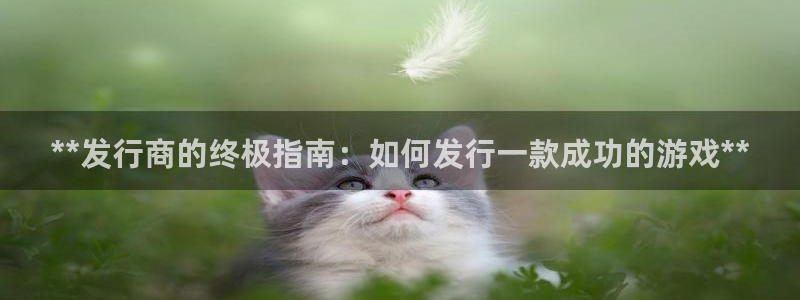 新航娱乐集团最新消息新闻：**发行商的终极指南：如何发行一款成功的游戏**
