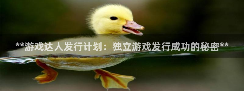 新航娱乐总代理是谁：**游戏达人发行计划：独立游戏发行成功的秘密**