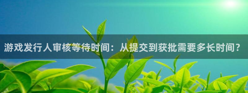 新航娱乐APP的最新版本更新内容：游戏发行人审核等待时间：从提交到获批需要多长时间？