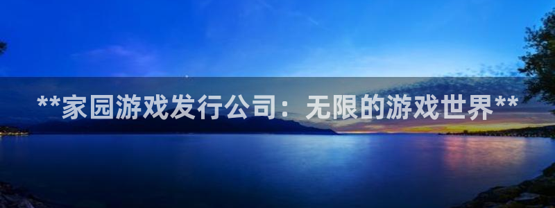 新航娱乐的员工工资福利及待遇怎么样：**家园游戏发行公司：无限的游戏世界**