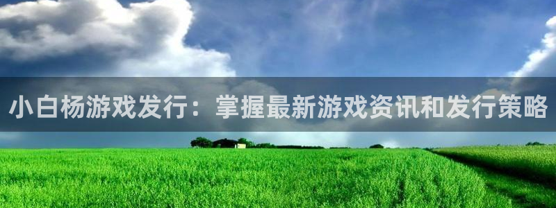 新航娱乐公司旗下艺人：小白杨游戏发行：掌握最新游戏资讯和发行策略