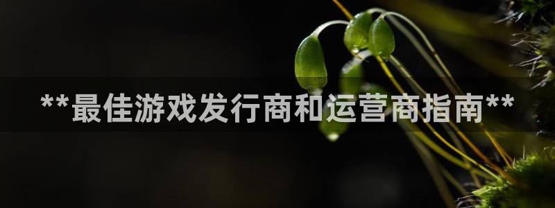 新航娱乐扣款详情：**最佳游戏发行商和运营商指南**