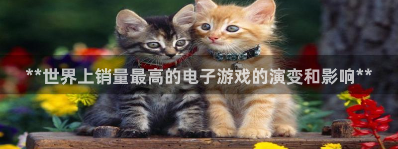 新航娱乐公司旗下艺人都有谁：**世界上销量最高的电子游戏的演变和影响**